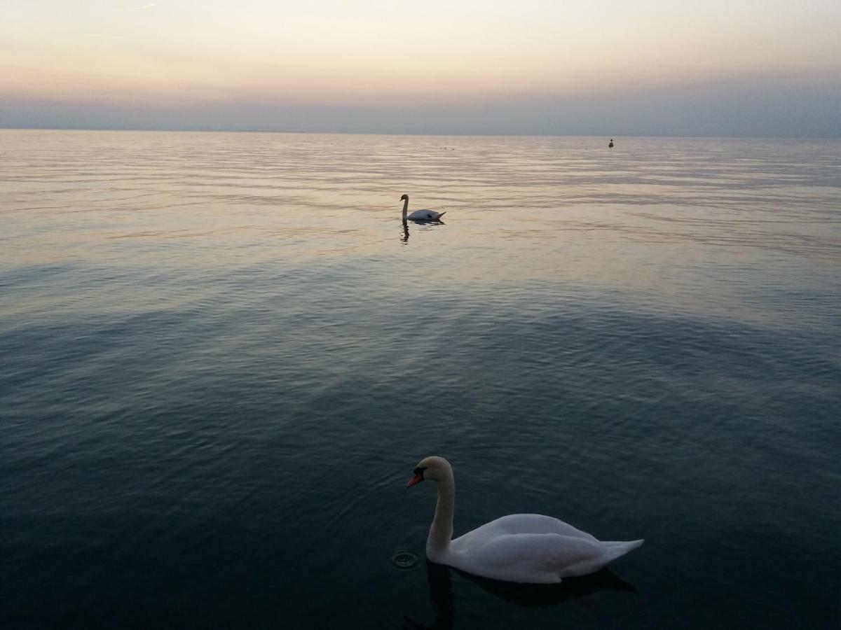 Casa Agnese Apartment Lazise Bagian luar foto